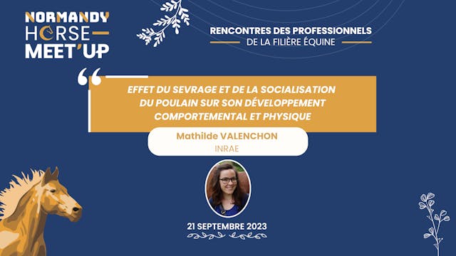 04-Effets du sevrage et de la socialisation du poulain sur son développement