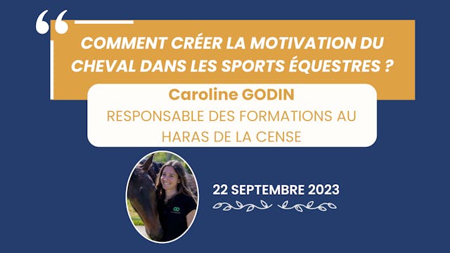 Comment créer la motivation du cheval ? - 2023