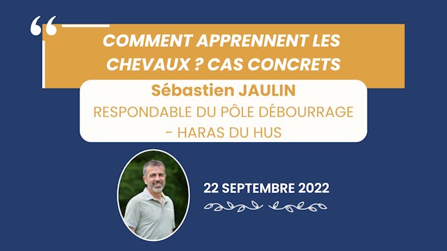 Comment apprennent les chevaux - 2022