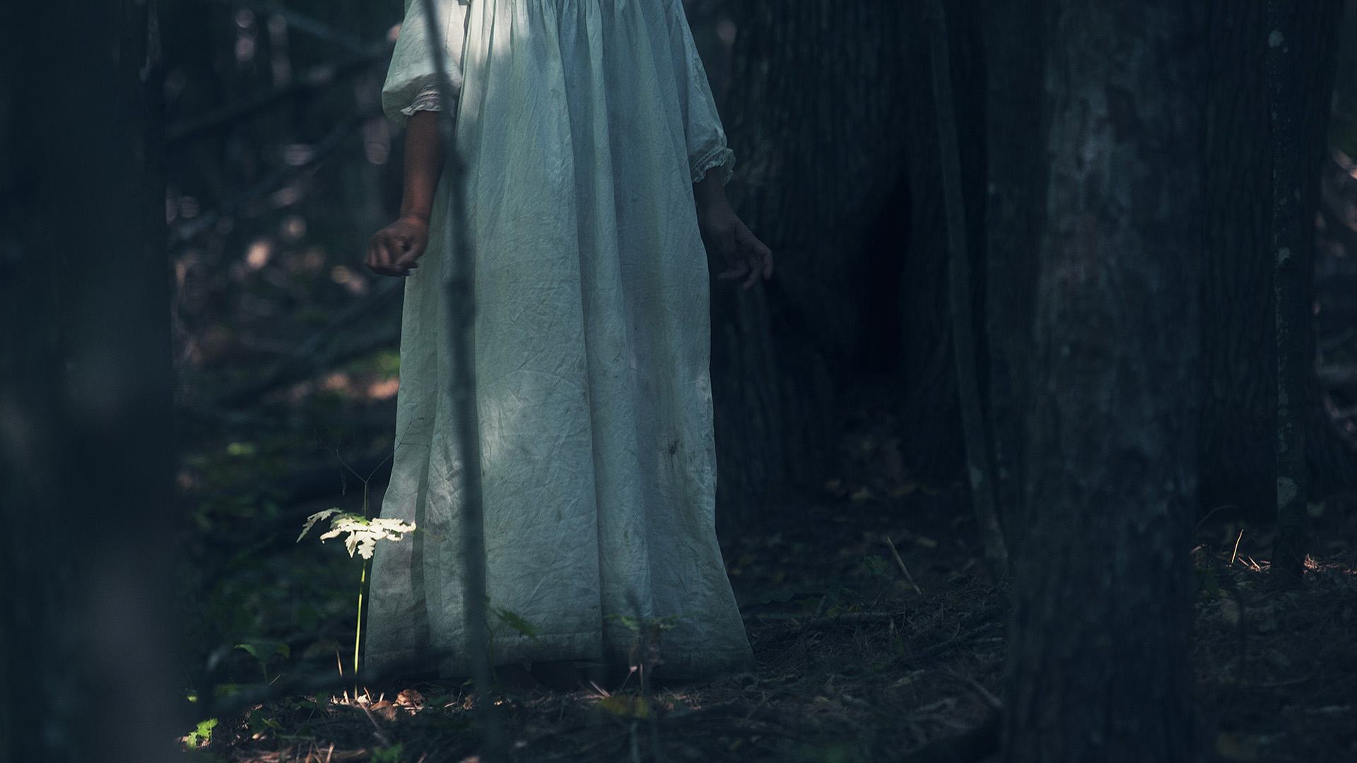 North Passage - Standard Edition