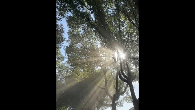 fd8e01dc1f9601b747dec7276b734e84