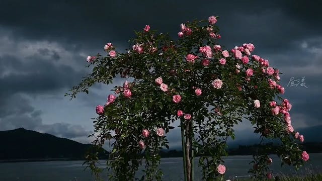 cfde60d687a7c049408fe6462f34ac14