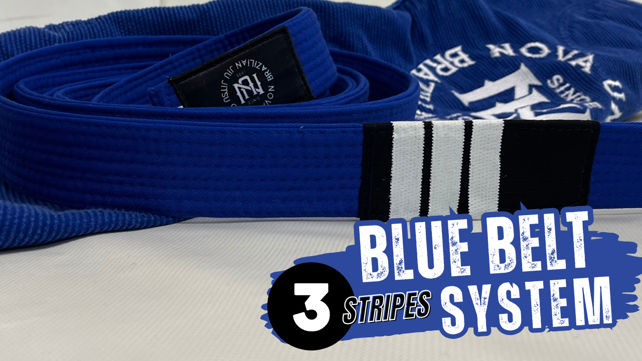 Blue Belt Stripe 3