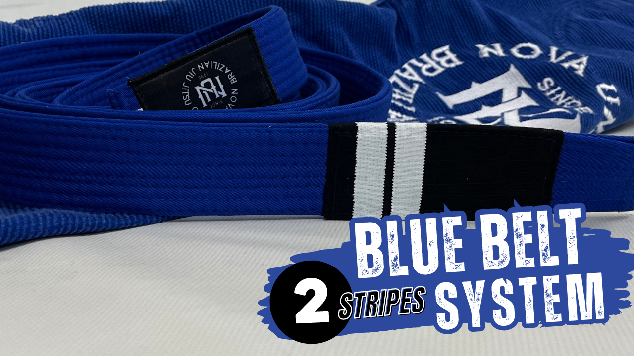Blue Belt Stripe 2