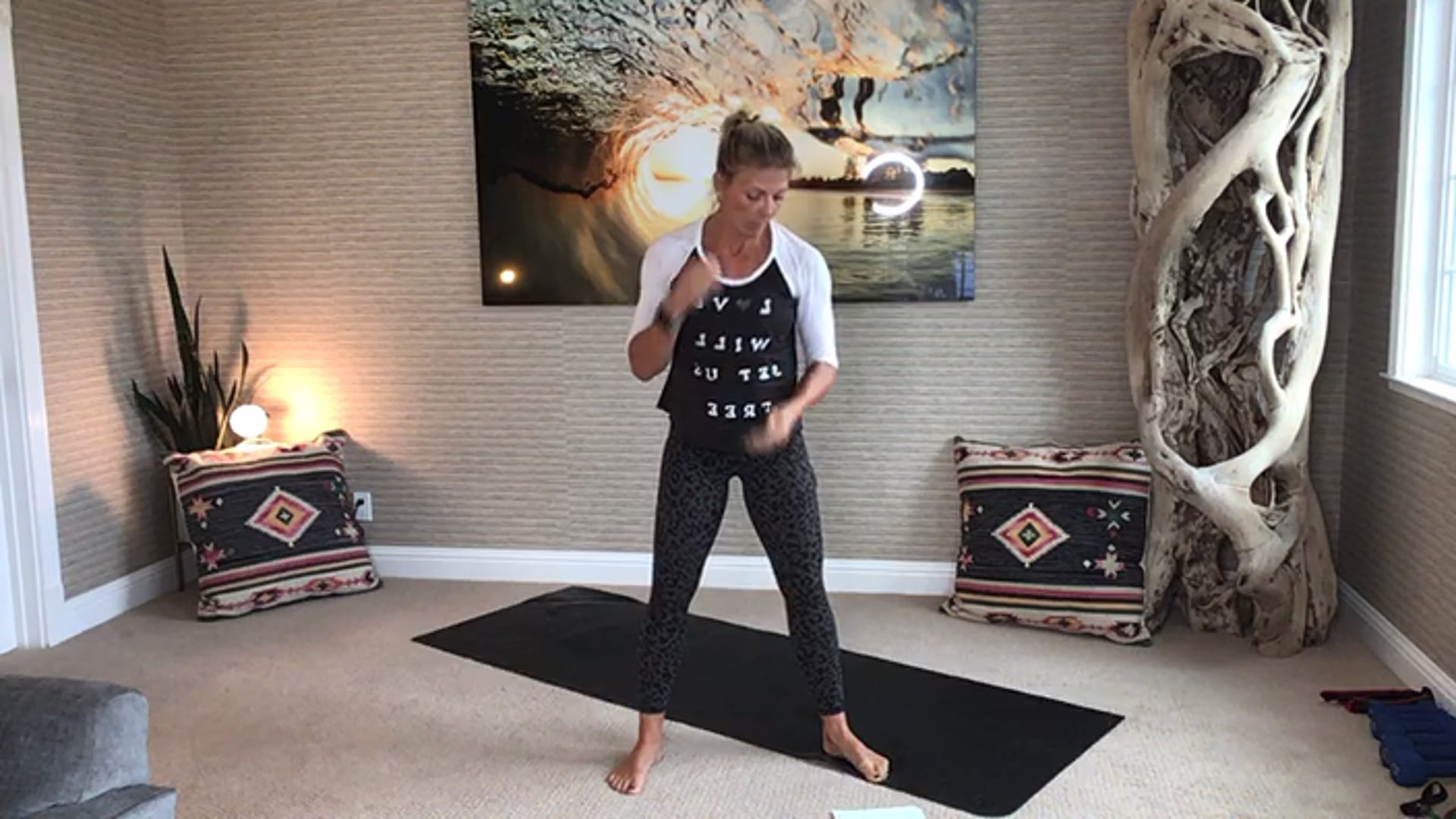 2020-04-14 Heather Leigh 40 min SHRED (all BodyWeight Bootcamp)