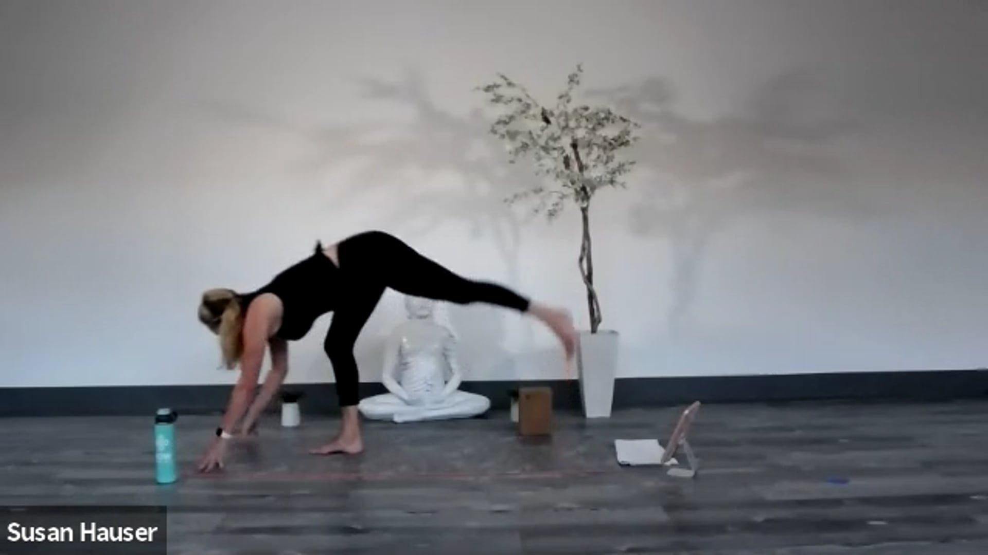2020-08-09 Susan Hauser Power Yoga ( new set up/music )