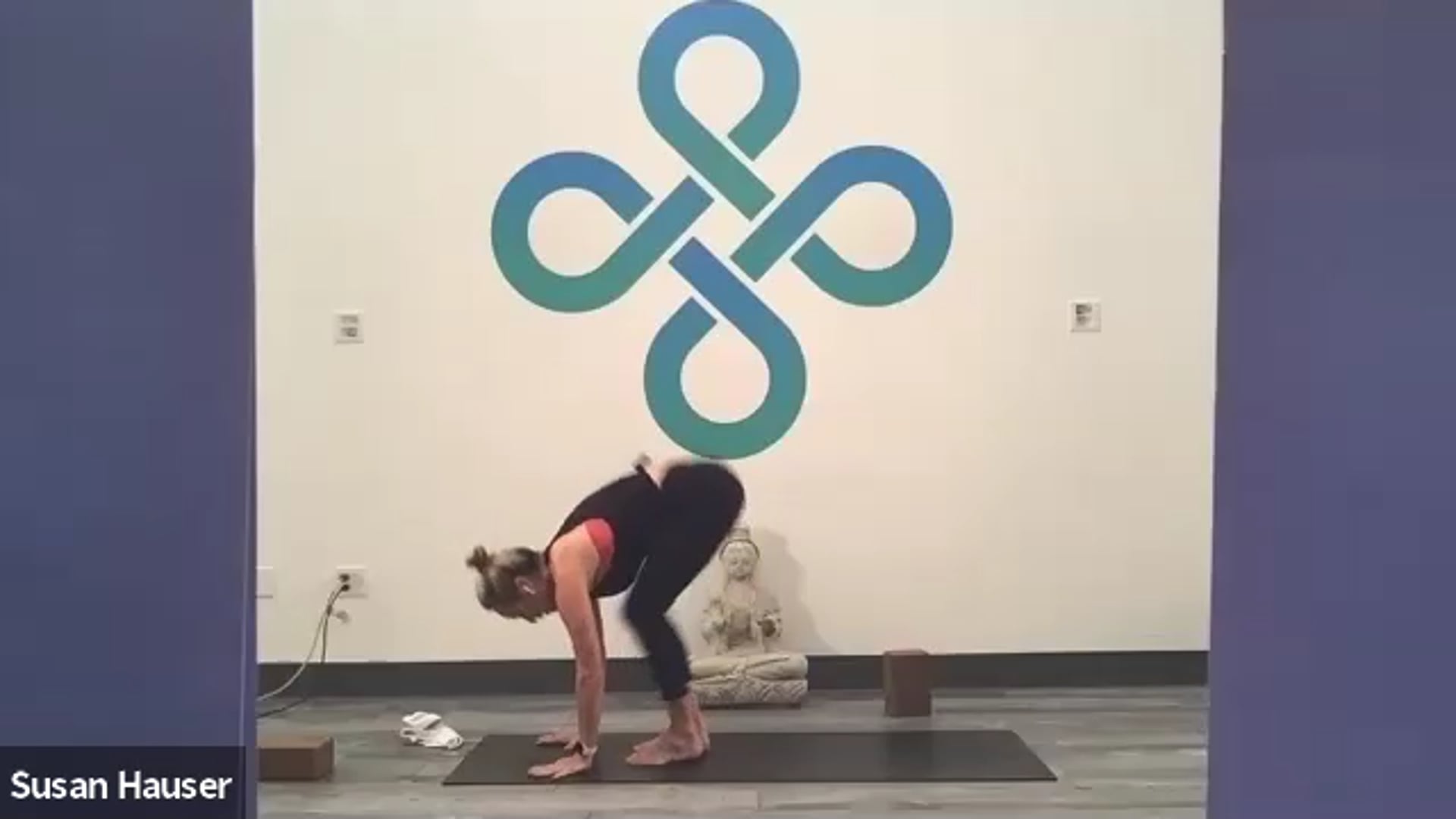 2020-04-30 Susan Hauser Power Yoga