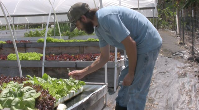 AQ TRAINING 9 Water Testing