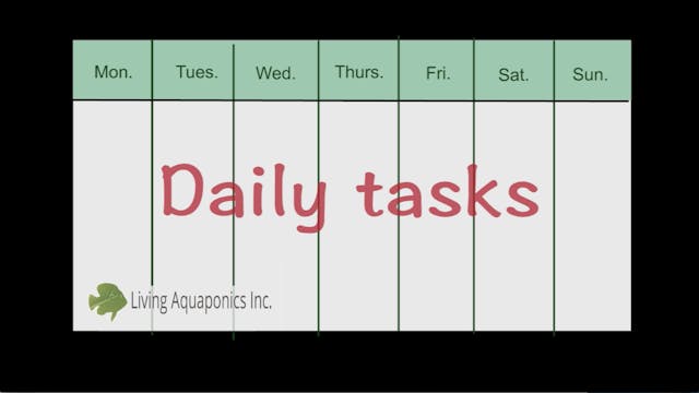 AQ TRAINING 3 Daily Tasks