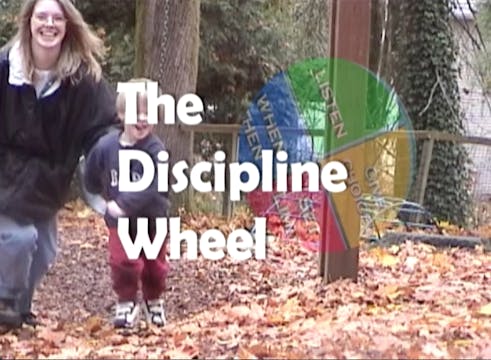 The Discipline Wheel