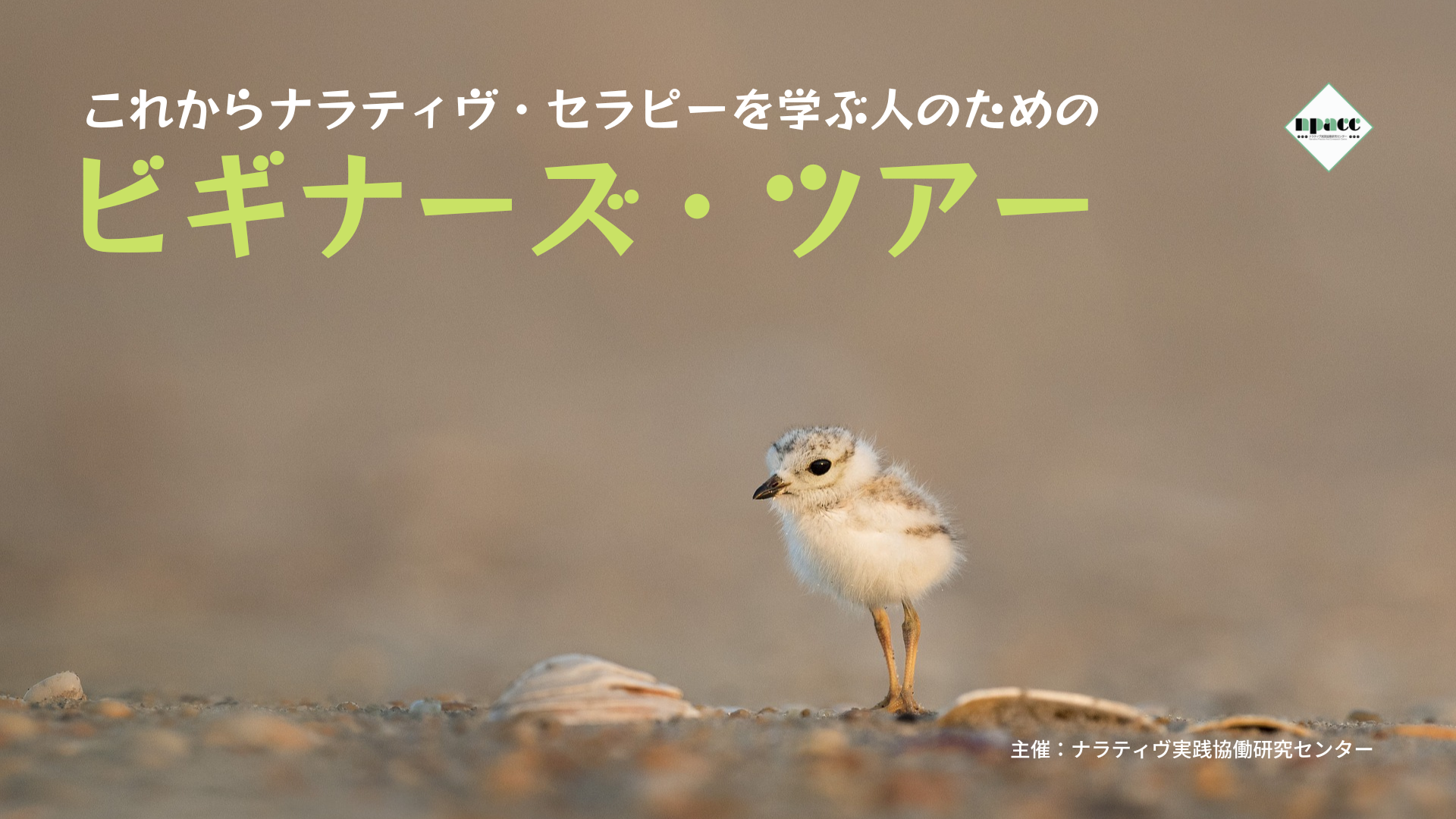 ビギナーズ・ツアー