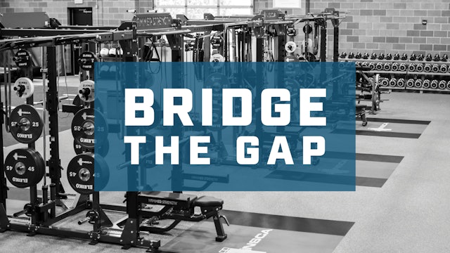 Bridge The Gap