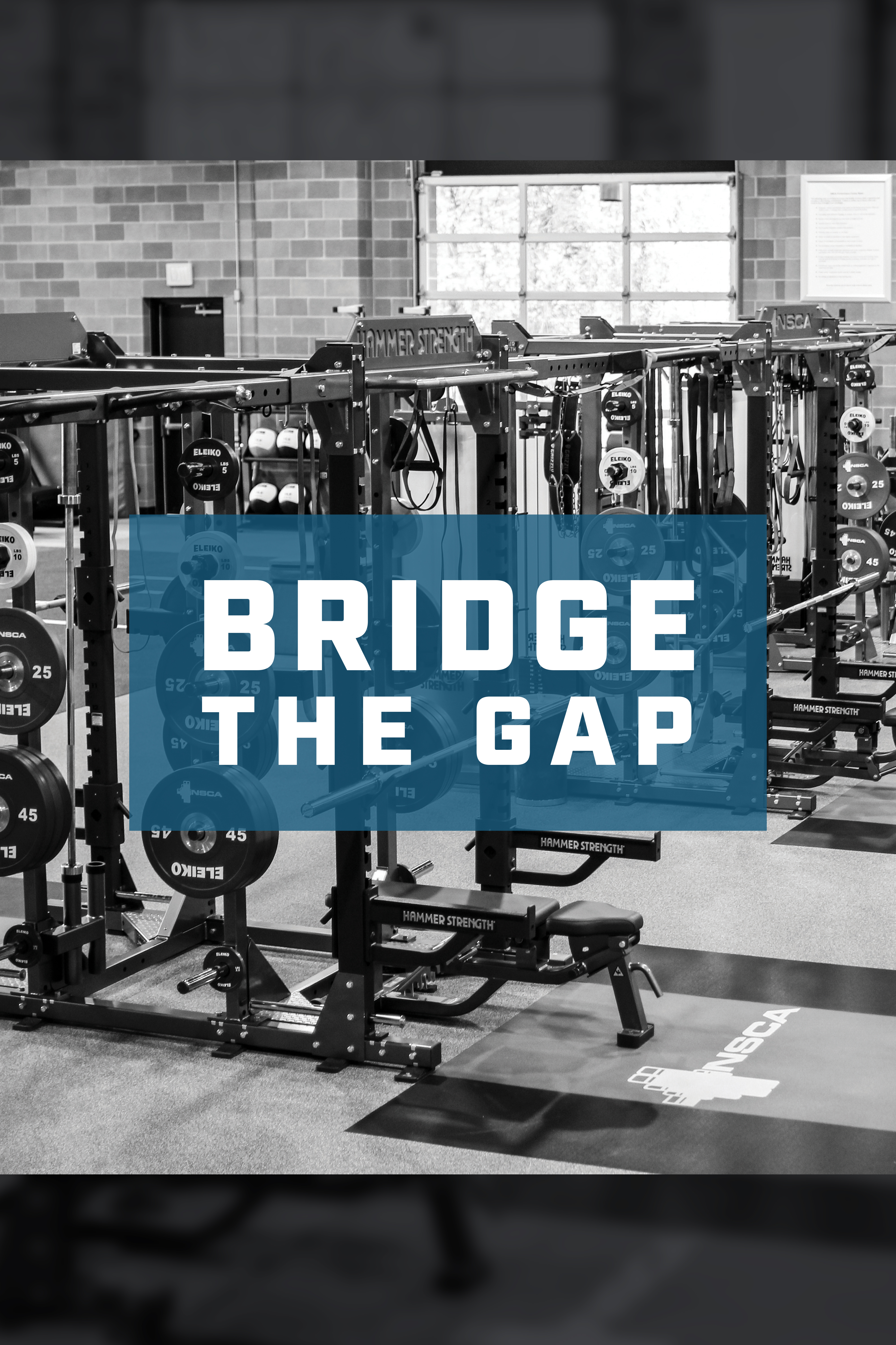 Bridge The Gap