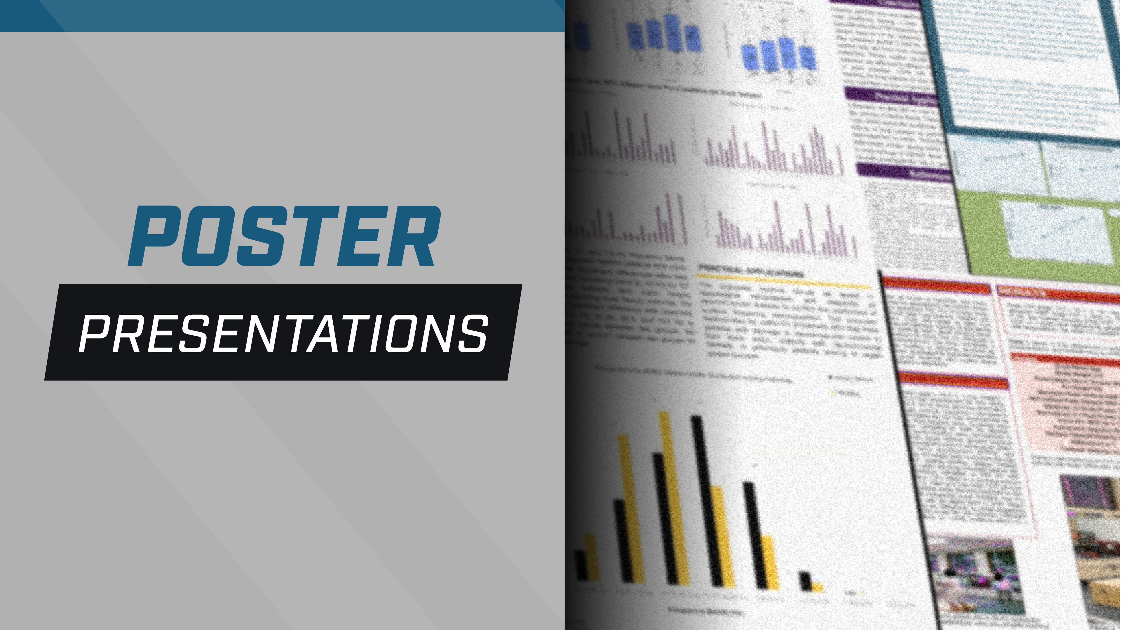 Poster Presentations