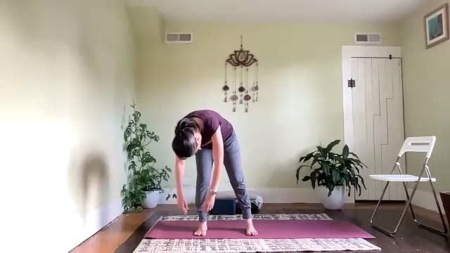 RR: Nervous System Reset Flow