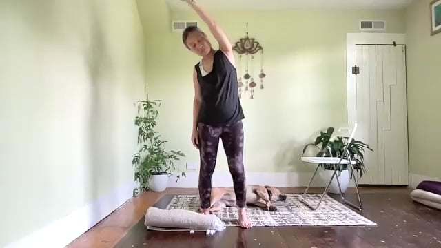 ES: Ground Reaction Force