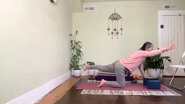 FY: Middle Back & Contralateral Slings