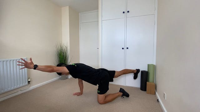 Core Workout with Panu #8
