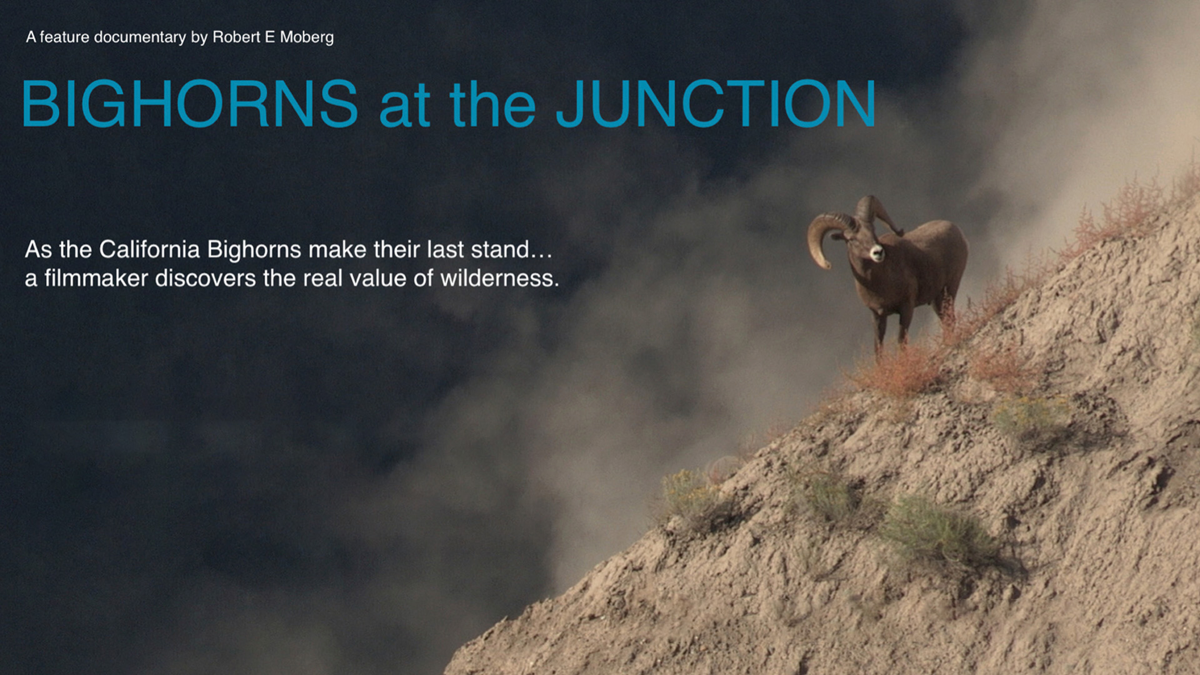 Bighorns at the Junction
