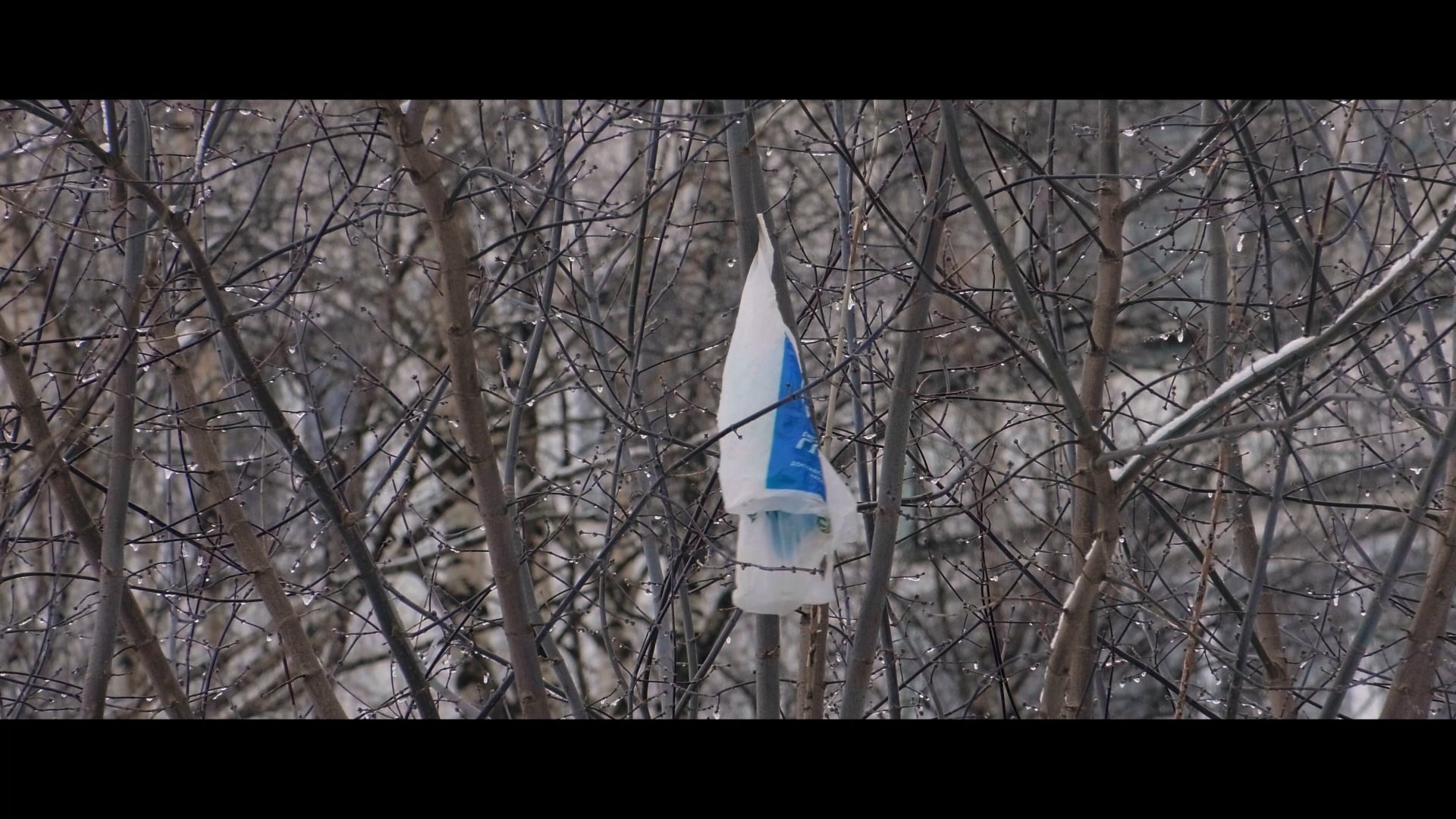 Is There Time For Matching Socks