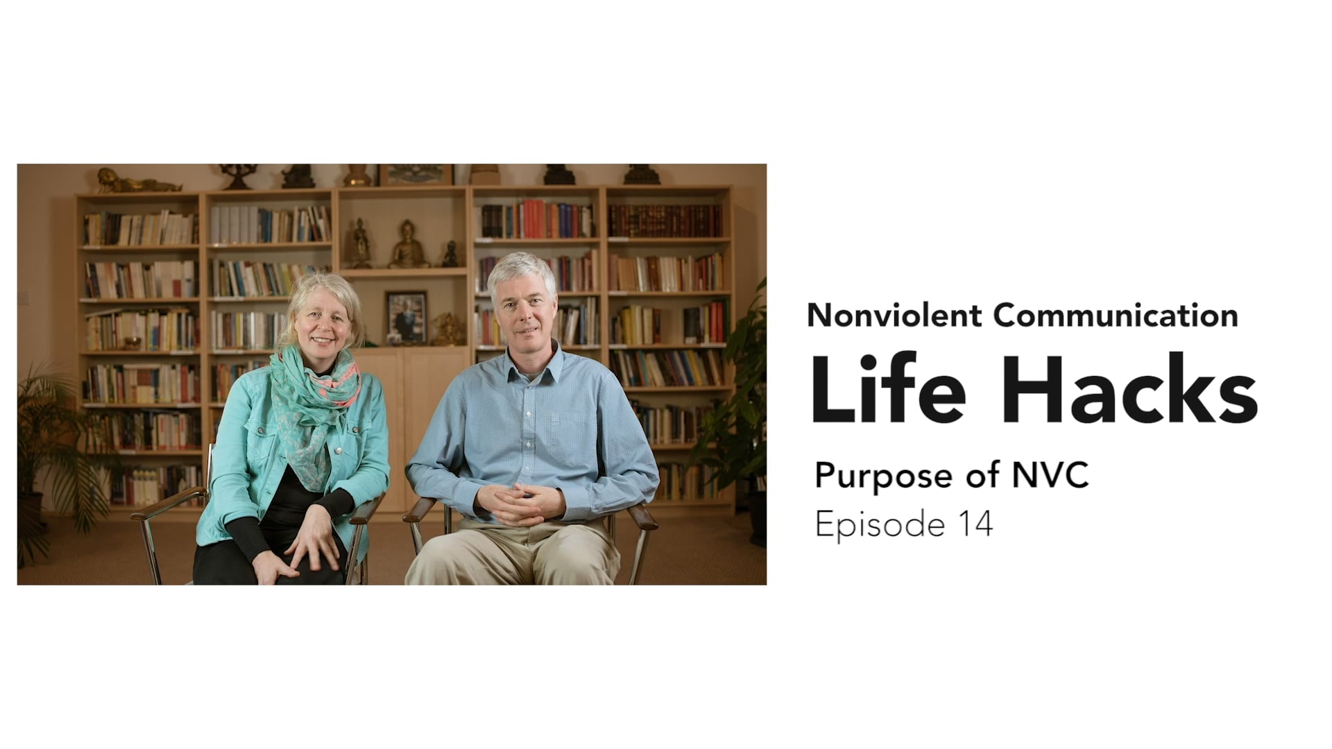 NVC Life Hacks 14: Purpose of NVC