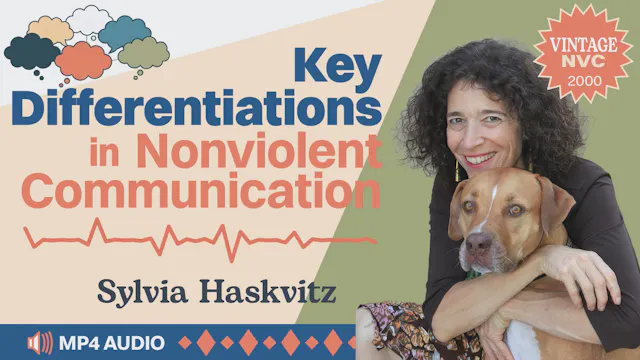 Key Differentiations in Nonviolent Co...