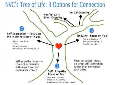 Parenting Series: The Importance of S...