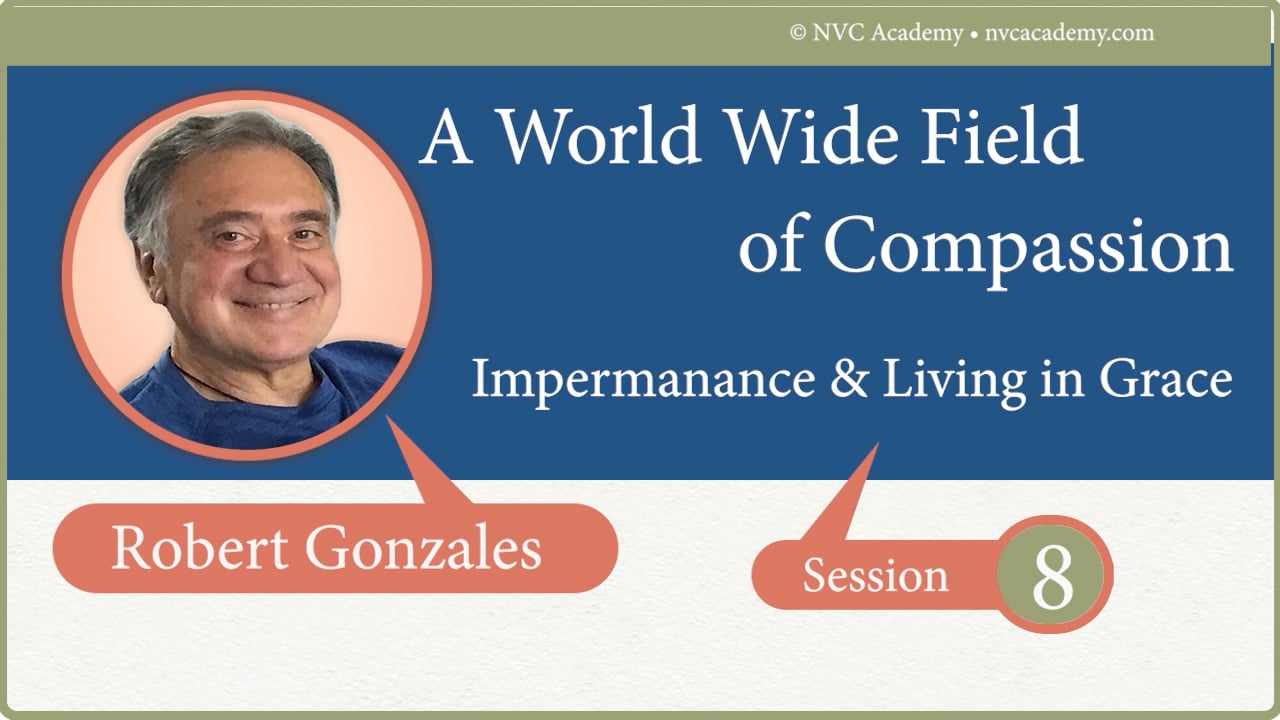A Worldwide field of Compassion: Session 8