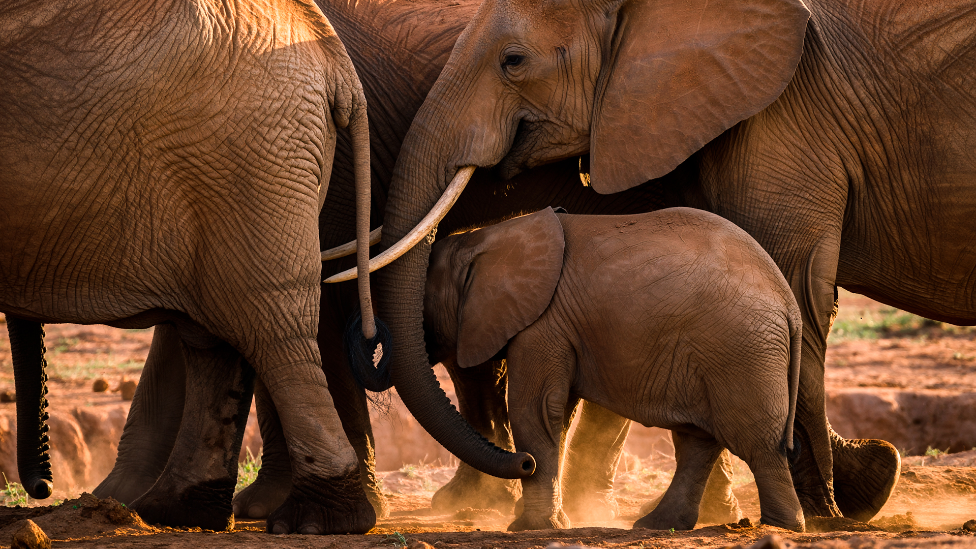 Protective Use of Force