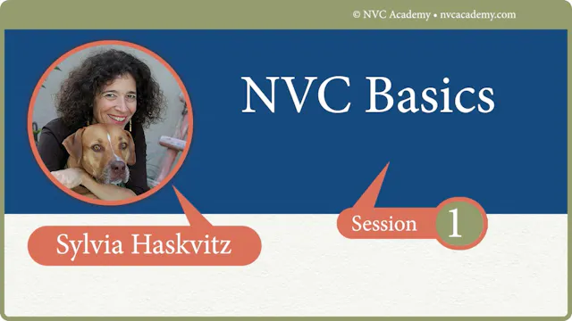 NVC Basics: A Foundational Course: Se...