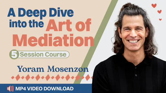 A Deep Dive into the Art of Mediation