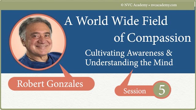 A Worldwide field of Compassion: Session 5