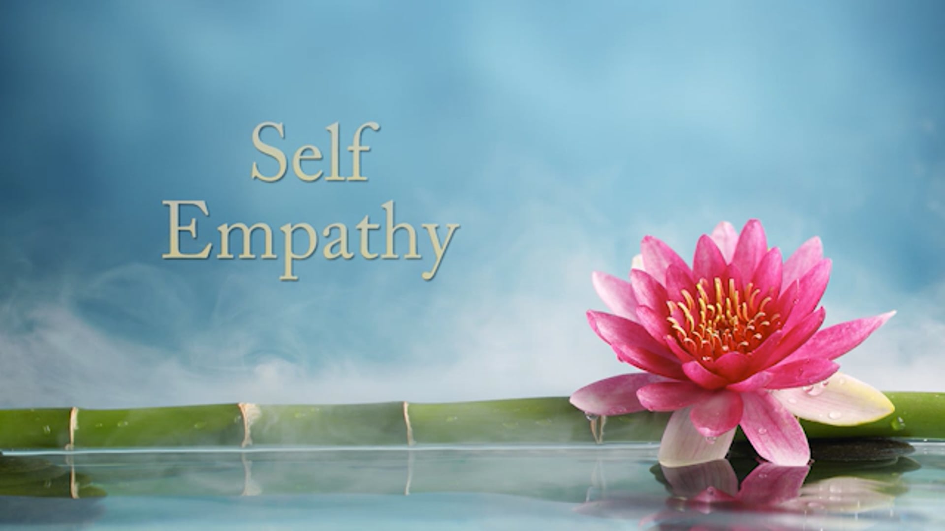 On Self-Empathy: An Exploration of Connecting to our Needs