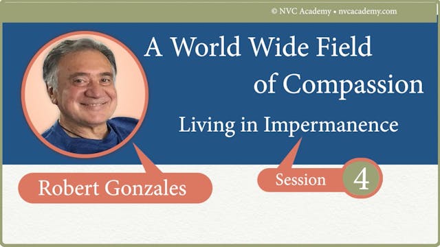 A Worldwide Field of Compassion: Session 4