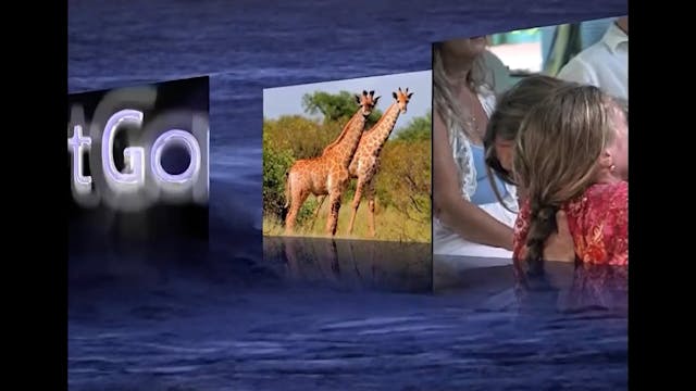 An Introduction to the Embodied Spiri...