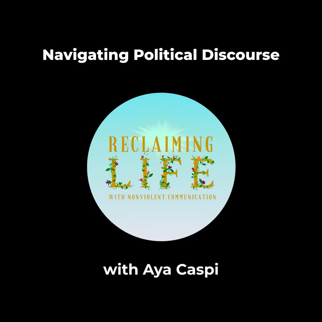 Navigating Political Discourse