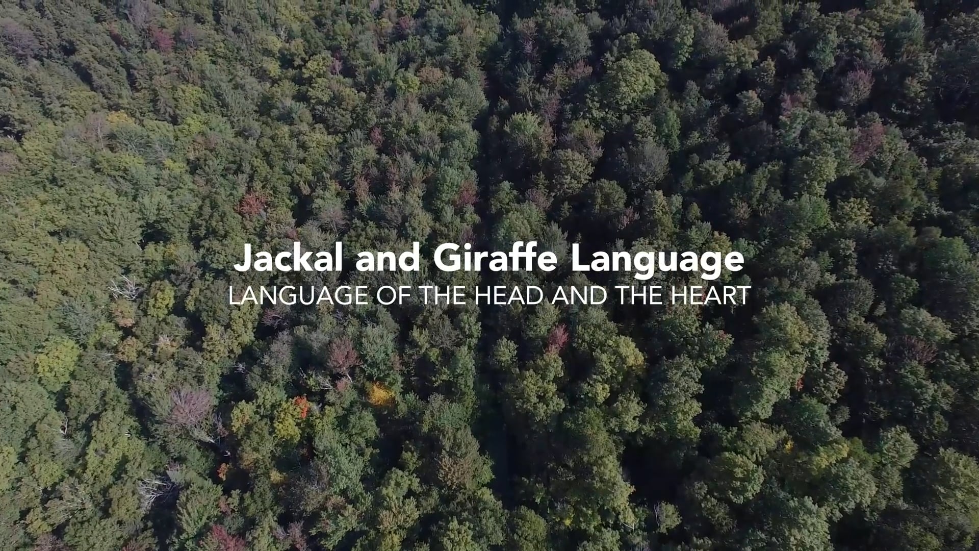 NVC Life Hack 46: Jackal and Giraffe