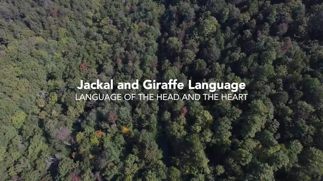 NVC Life Hack 46: Jackal and Giraffe
