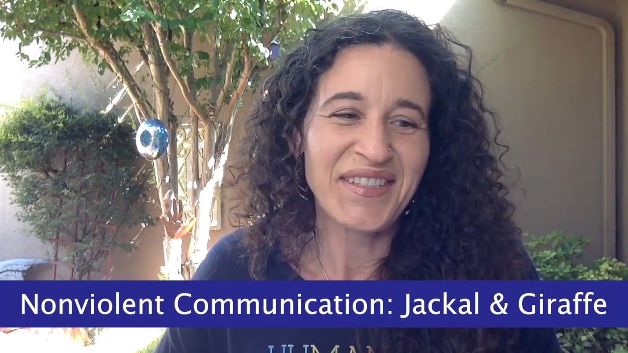Nonviolent Communication: Giraffe and Jackal Images Explained