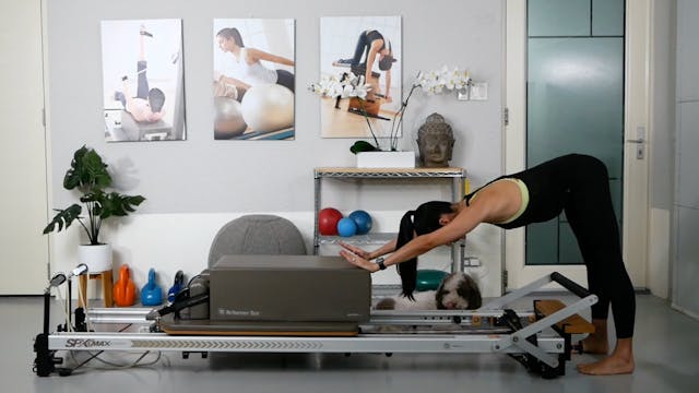 38-Min. Reformer Workout