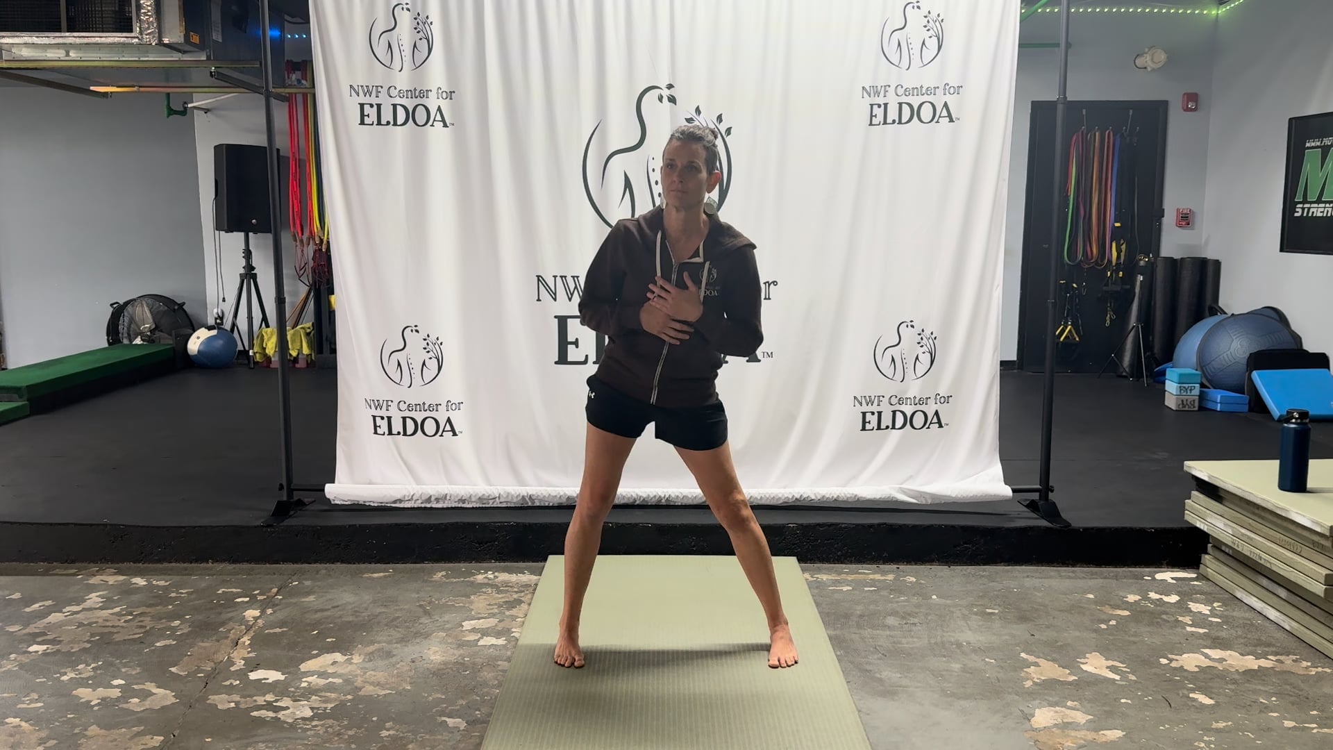 ELDOA™ Basics Class