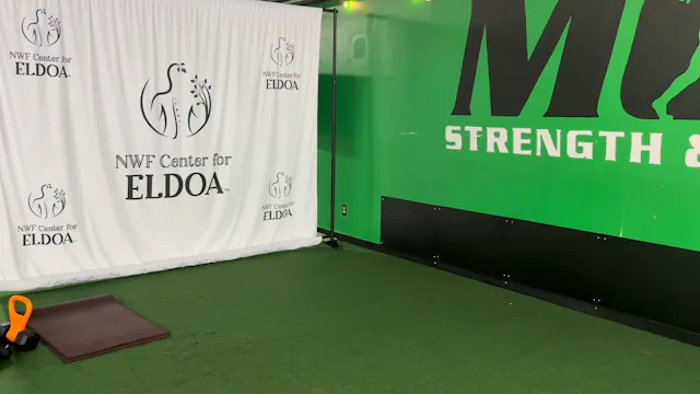 Full Body 20 Minute Workout