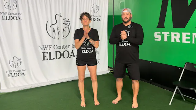 MODIFICATIONS For ELDOA™