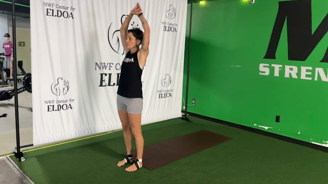 Beginner's ELDOA™ Class 6/10/2025