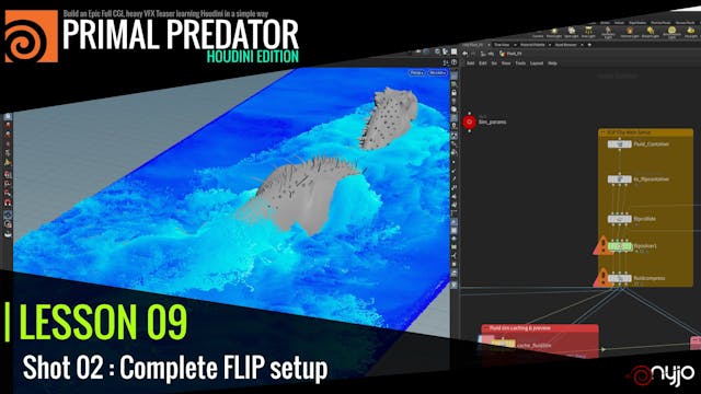 Lesson 09 : Shot 02 Complete FLIP setup