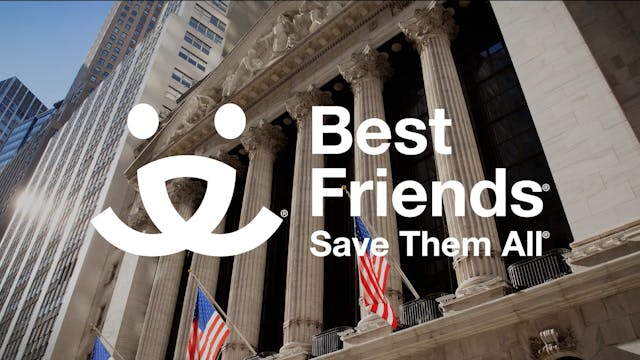 The NYSE welcomes Best Friends Animal...