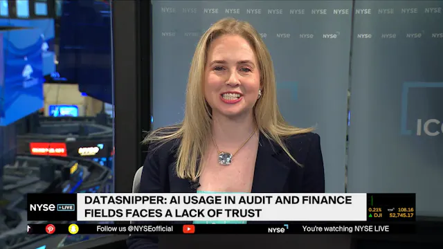 DataSnipper CEO Vidya Peters Breaks D...