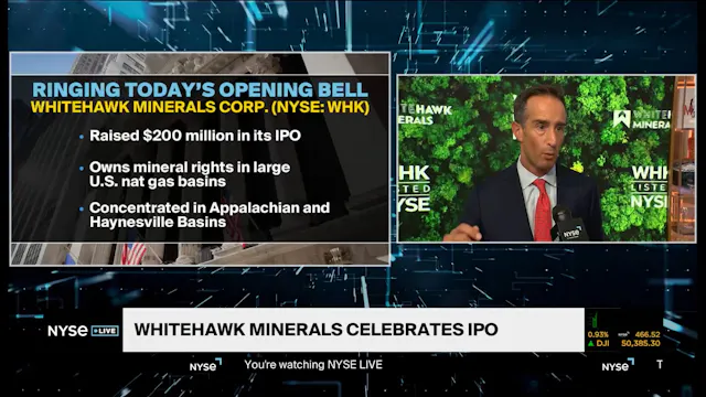 WhiteHawk Minerals CEO Daniel Herz Di...