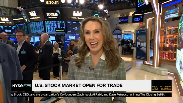 Bill Mann on AI Investing, Market Vol...