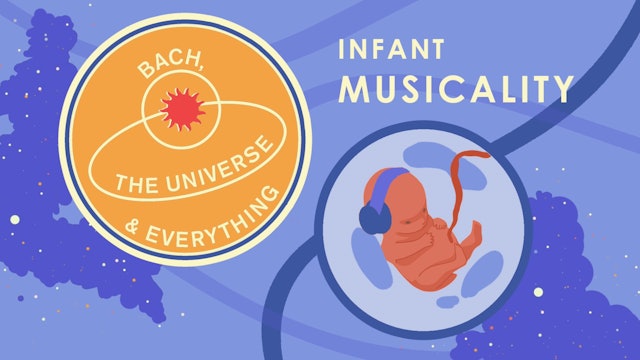 Infant musicality, programme